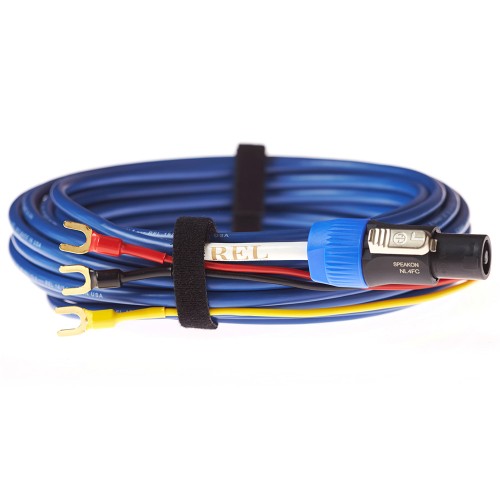 Bassline Blue