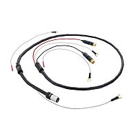 TYR 2 TONEARM CABLE +
