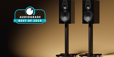 Первое место в рейтинге полочников года: Monitor Audio Gold 100 6G