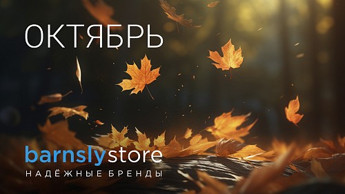 Октябрь в barnsly.store